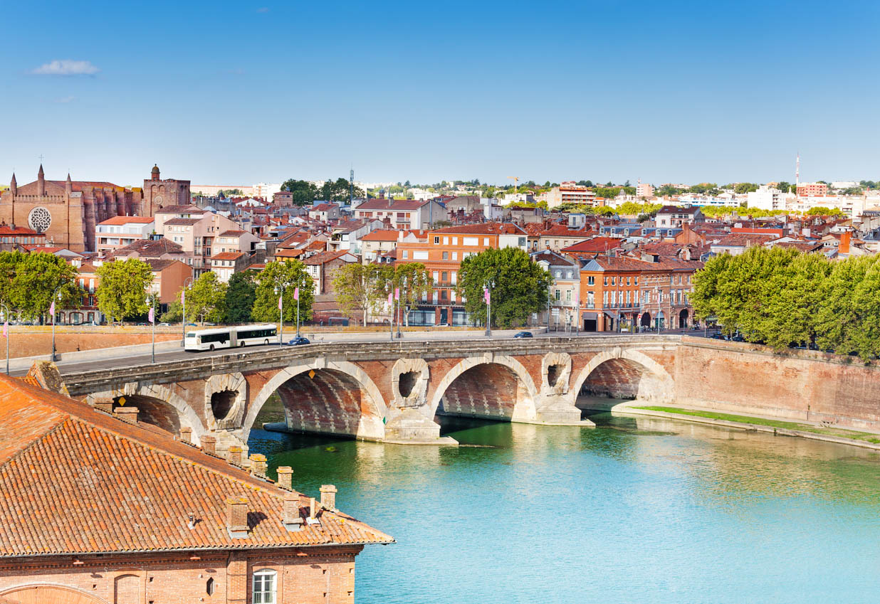 Toulouse and Pont Neuf bridge across Garonne river